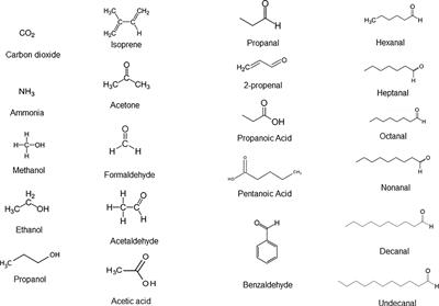 Breath Biopsy and Discovery of Exclusive Volatile Organic Compounds for Diagnosis of Infectious Diseases